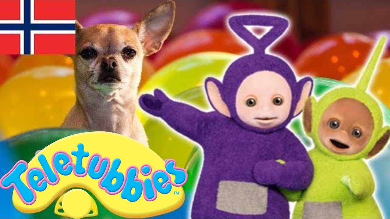 Teletubbiene på norsk ☆ hele episoden kompilering ☆ 1 time ☆ #78 ☆ Tegneserier for barn ☆