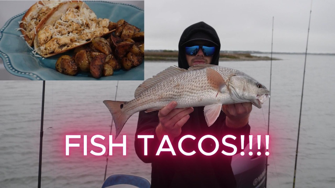 red drum - CATCH CLEAN AND COOK (St Augustine FL)