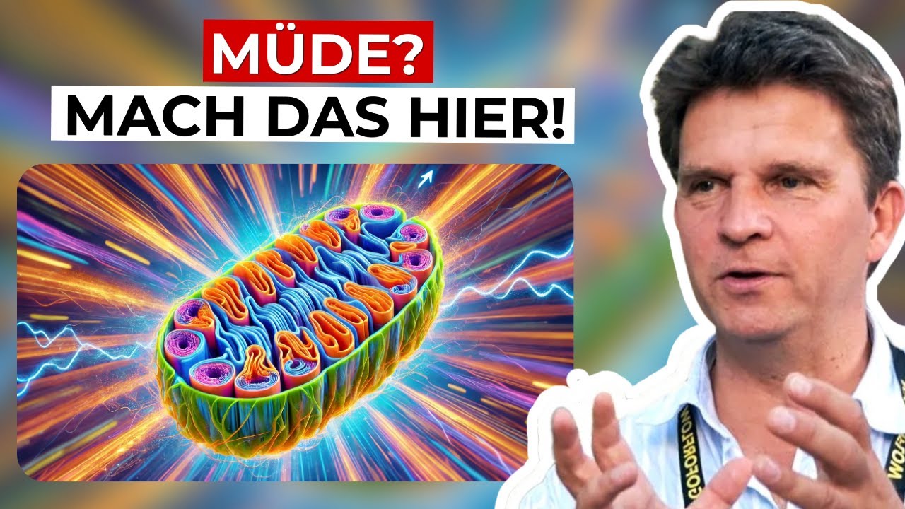 Mitochondrien-Hack: Das geheime Bio-Upgrade für grenzenlose Power!