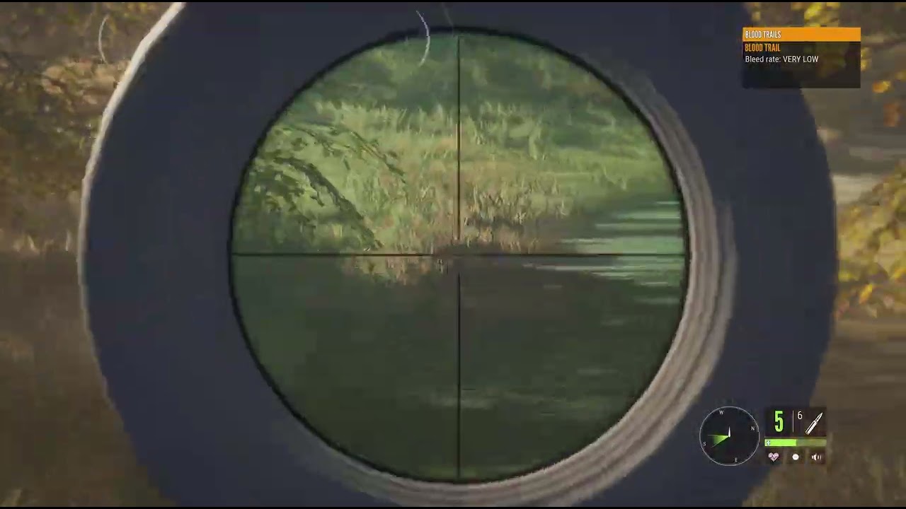 Tracking a deer. I shot.