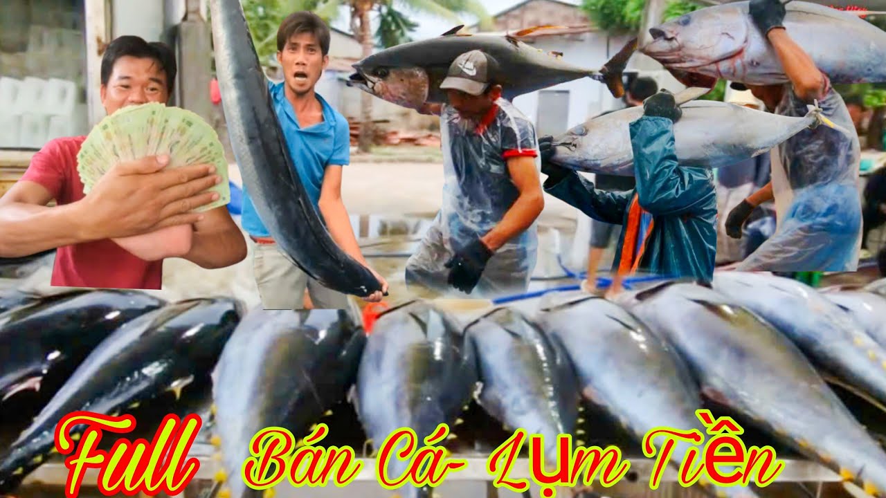 FULL 2_Ngư Dân BÌNH ĐỊNH Trúng Mánh Hàng Tấn Cá Ngừ ĐẠI DƯƠNG_19 Ngày Về Bờ Bán Cá, CHIA TIỀN