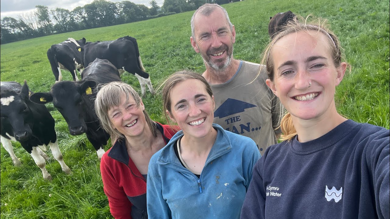 WORMING DAIRY HEIFERS using POUR ON WORMER