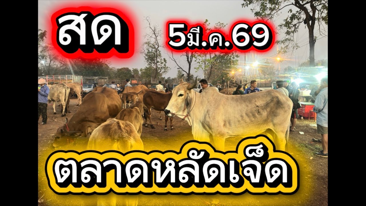 ชมบรรยากาศตลาดนัดโคกระบือหลัดเจ็ด