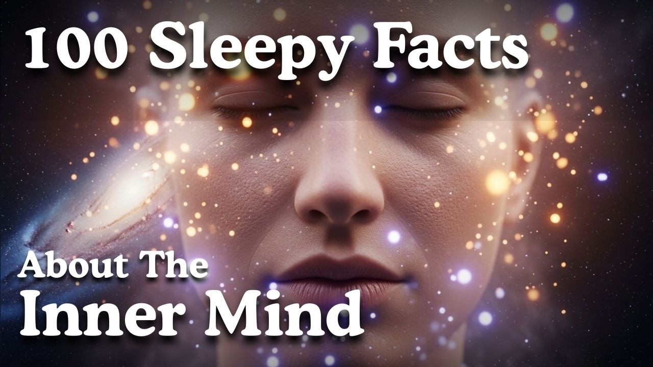 The Most Relaxing Facts About Human Emotions to Fall Asleep To
