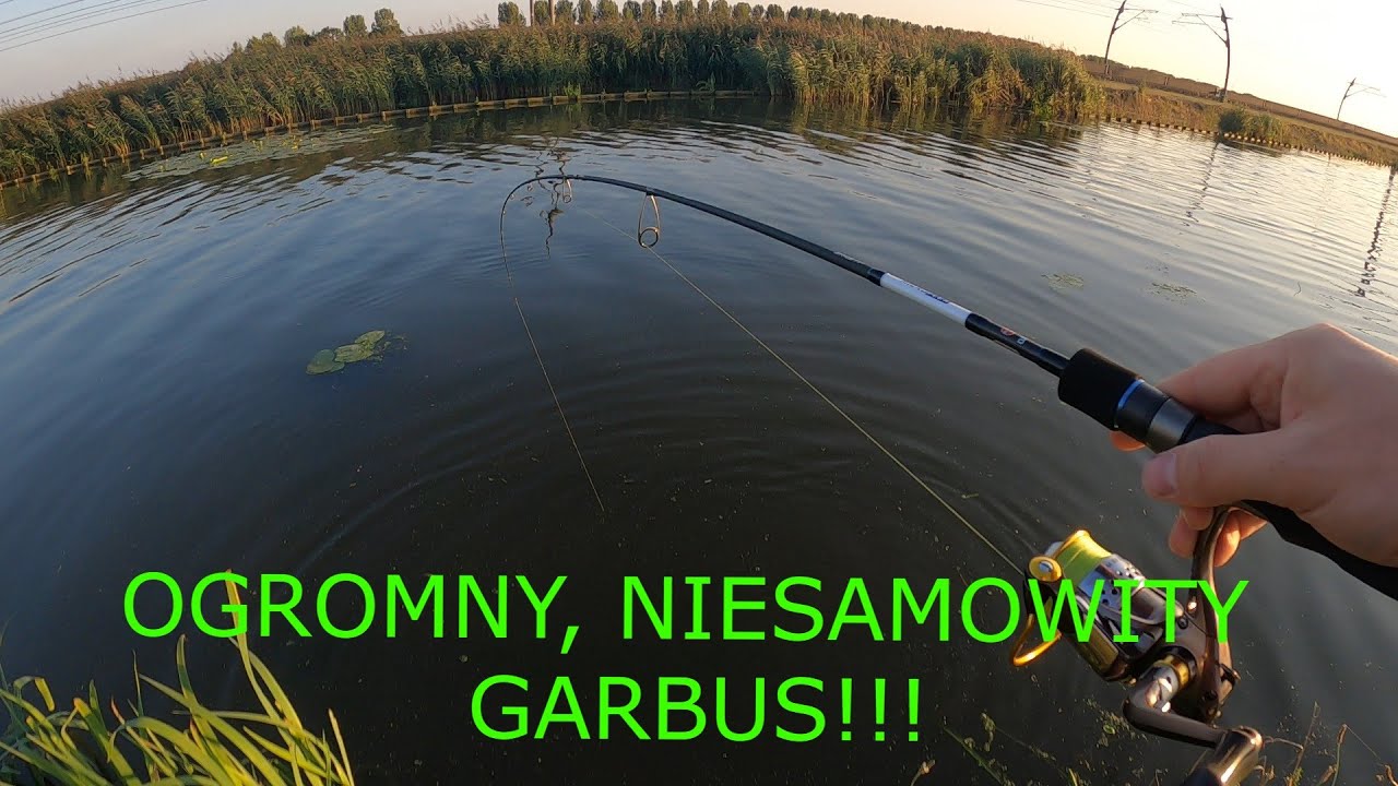 PIĘKNE GARBUSY NA NOWĄ WĘDKĘ ULTRA LIGHT  | Holandia | Vlog 16