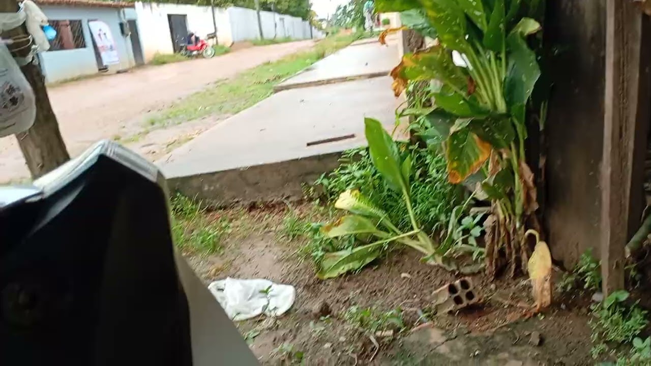 Dia de chuva boa 