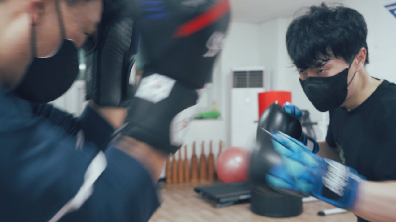 Punch Combos - 근접전투시스템 (Multiple Combat Systems)