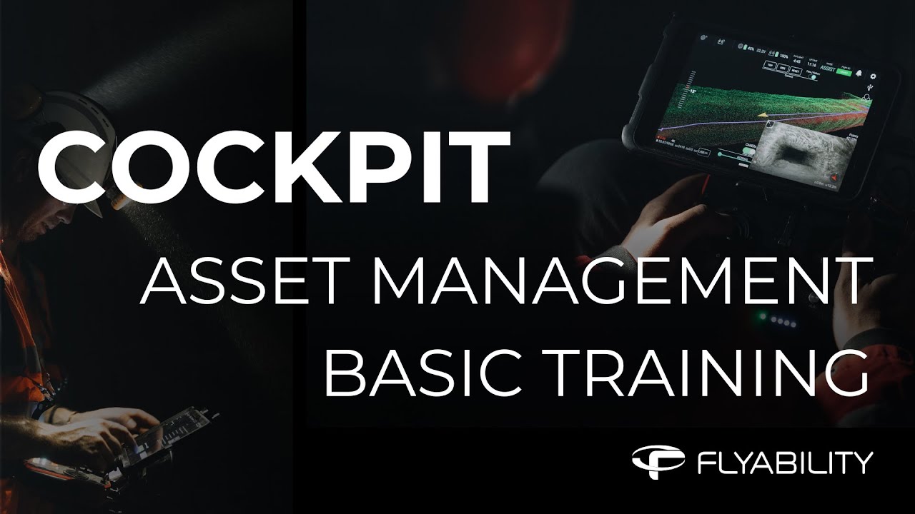 Cockpit - Asset management basic training