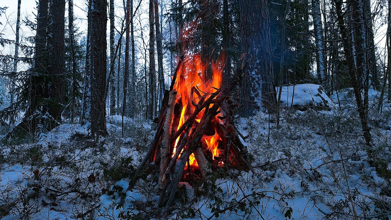 Real Campfire in Snowy Winter Forest | Relaxing Nature Sounds | Sleep, Study & Focus