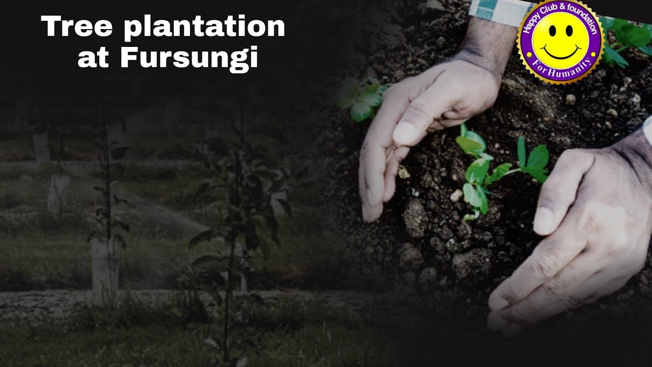 Tree Plantation at fursungi