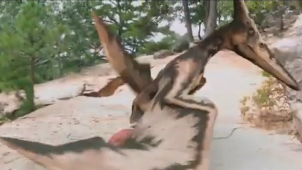 Dinosaur World [2020] - Pteranodon Screen Time