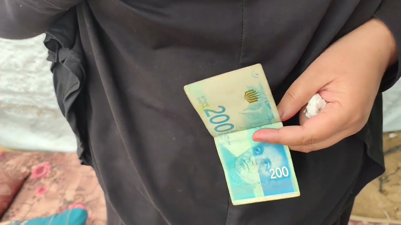 ٣١ يناير ٢٠٢٦