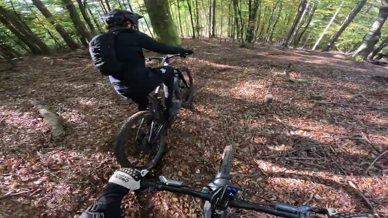 Downhill- Training @Oswaldiberg