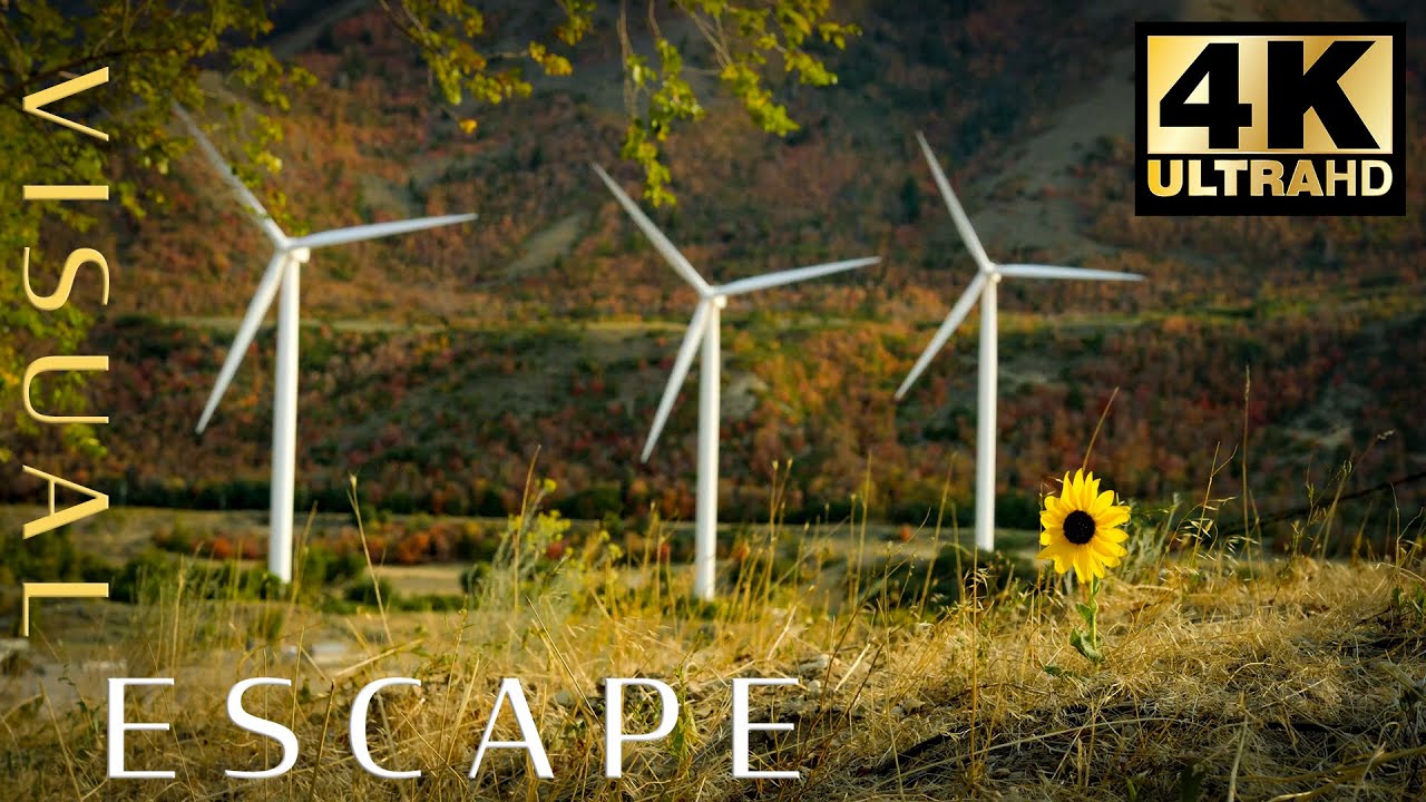 Relaxing Fall Landscape🍁 | 7hrs of Wind Turbines with Peaceful Music | Relax, Meditate, Unwind