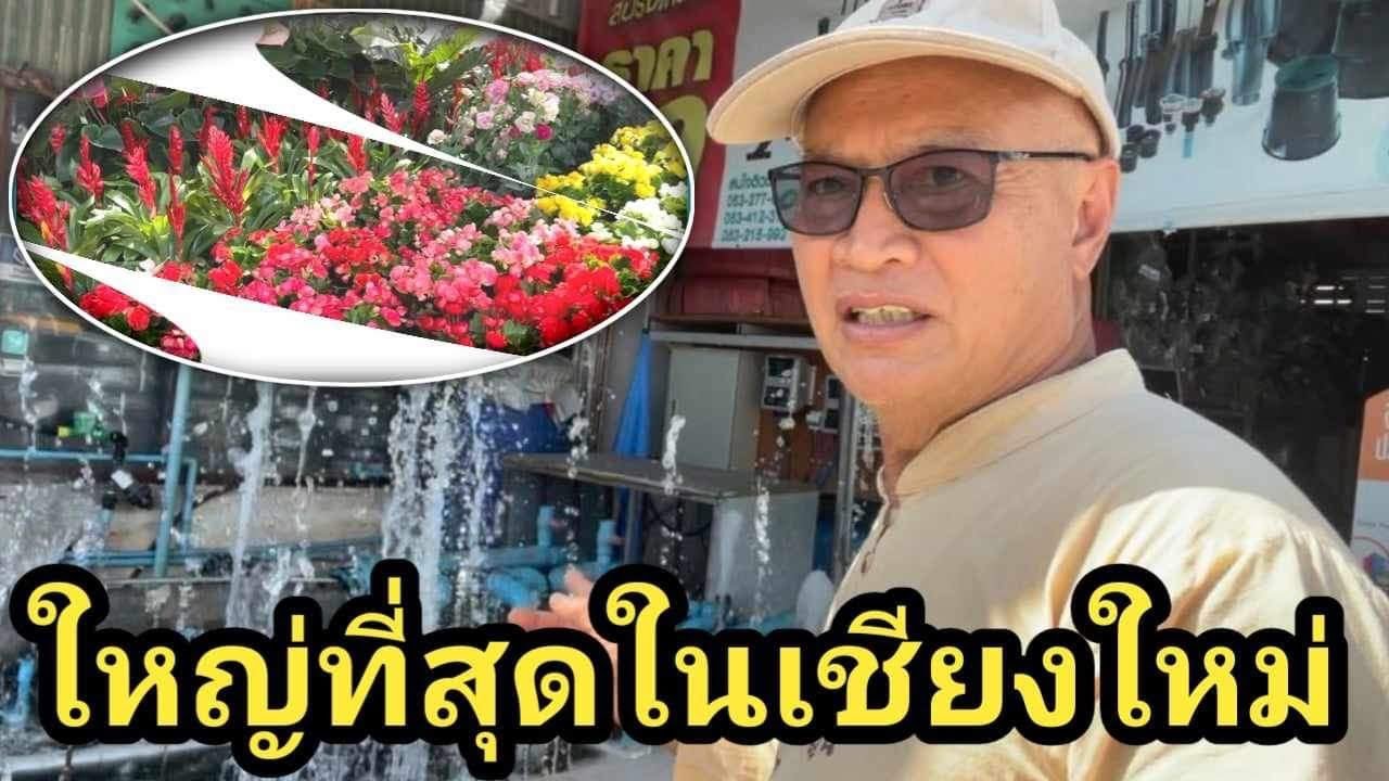 ใหญ่ที่สุดในเชียงใหม่ @krupayon