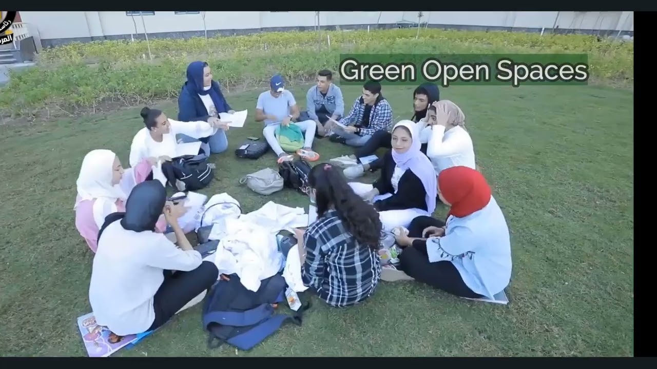 New Mansoura University (NMU) Smart Green University