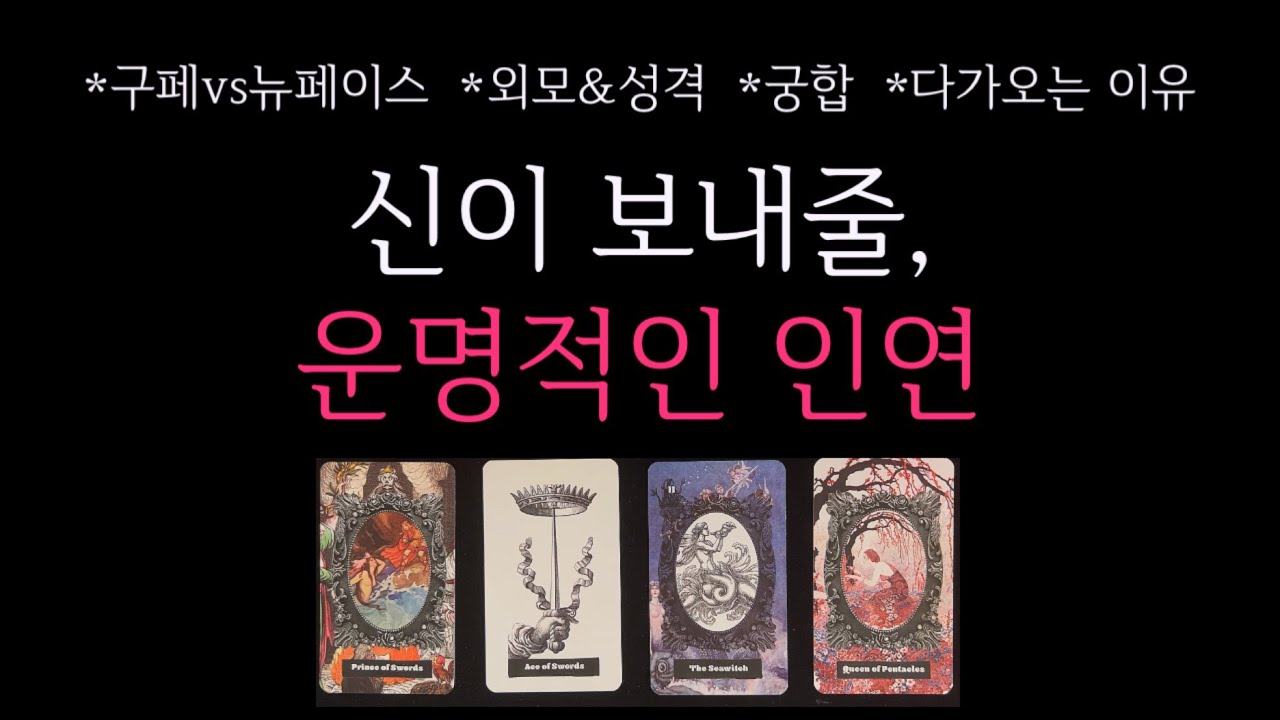 [타로] 🌹신이 보내줄, 운명적인 인연 🔮 구페vs뉴페이스•외모&성격•궁합•다가오는 이유🩷