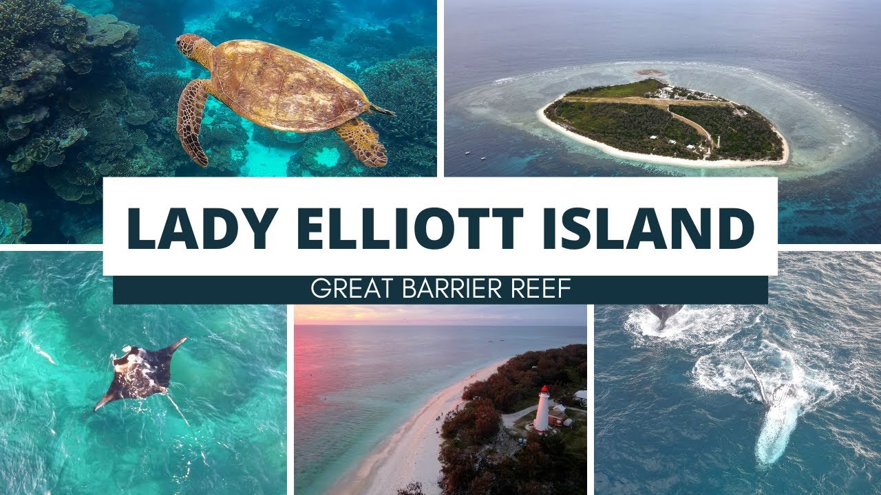 Lady Elliott Island Great Barrier Reef was voted #2 BEST SNORKEL BEACH in the world by Lonely Planet