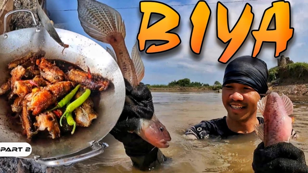 P2-ANLALAKI NG BIYA - EP1426