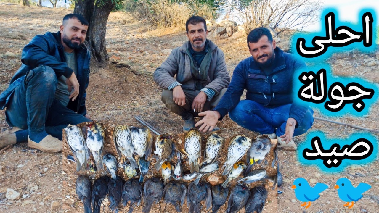 على طلب أحد المتابعين طلعنا جولة صيد عصافير بالشبك فيديو حلو كتير رح ينال اعجابكن ❤️