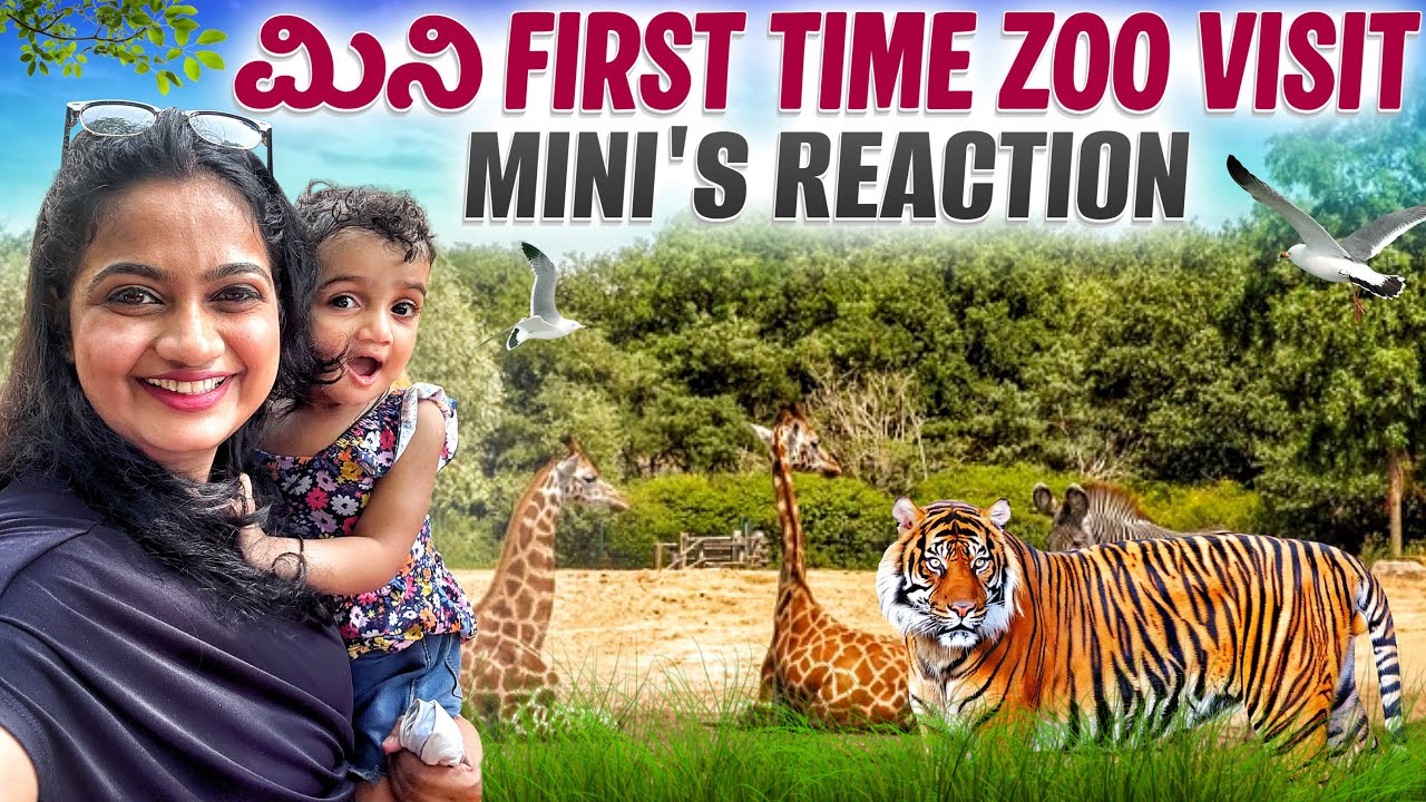 Mysore Zoo Visit With My Daughter Mini 🐯 | ಮಿನಿಯ ಜೊತೆ ಮೈಸೂರಿನ ಜೂ ವ್ಲಾಗ್ | Kannada Family Vlog🥰