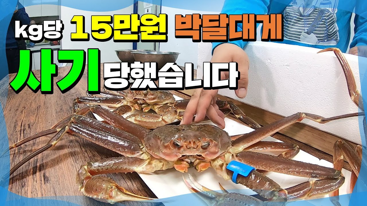 박달/국산/러시아 대게 비교 (일반인이면 100% 속았습니다.)
