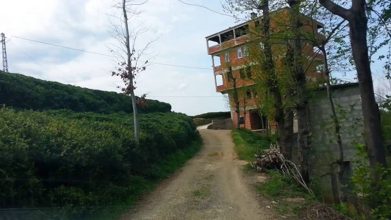 YAŞAR TELLİOĞLU