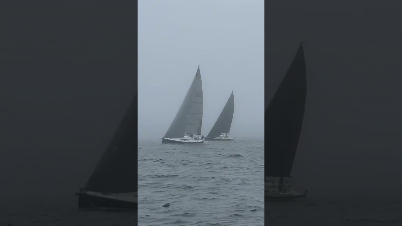 Come Sail Away on Seefest ! 