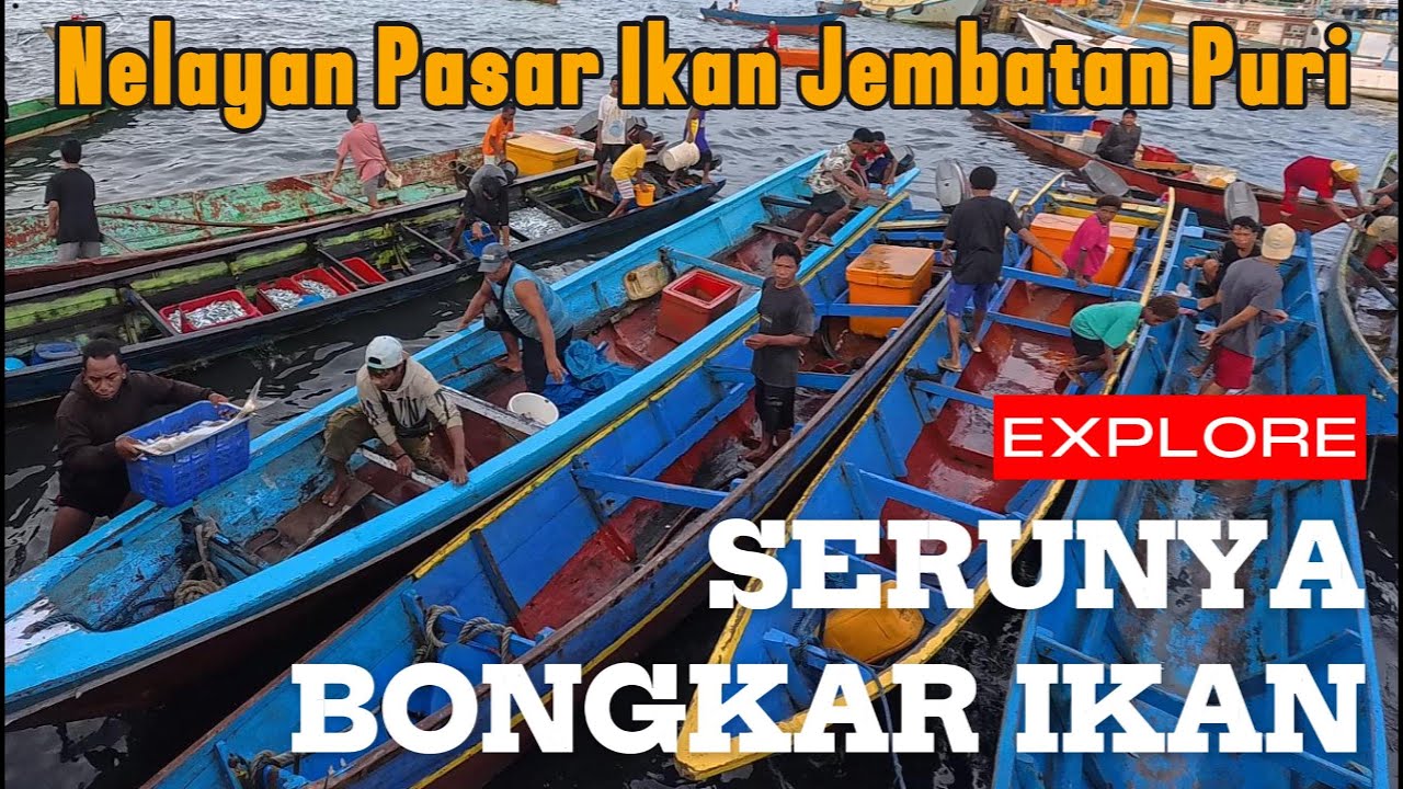 Serunya Bongkar Ikan Nelayan Jembatan Puri Sorong Papua Barat Daya - 0055 #sorong  #papua