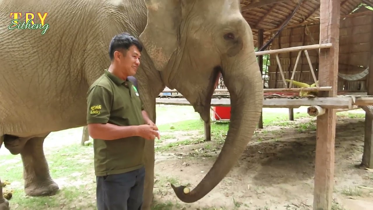 Lucky ជាតារាល្បីក្នុងប្រទេស និងក្រៅប្រទេសនៅតេបន្តការចាប់អារម្មណ៍