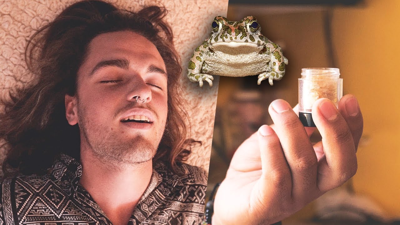 HE MUERTO EN VIDA | Mi experiencia con BUFO ALVARIUS