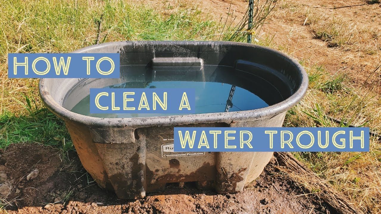 How I Clean Water Troughs
