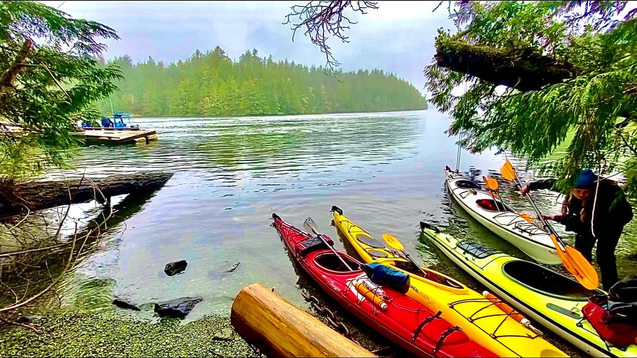 Kayaking in Tofino | Guided kayak tour of Meares island old growth forest