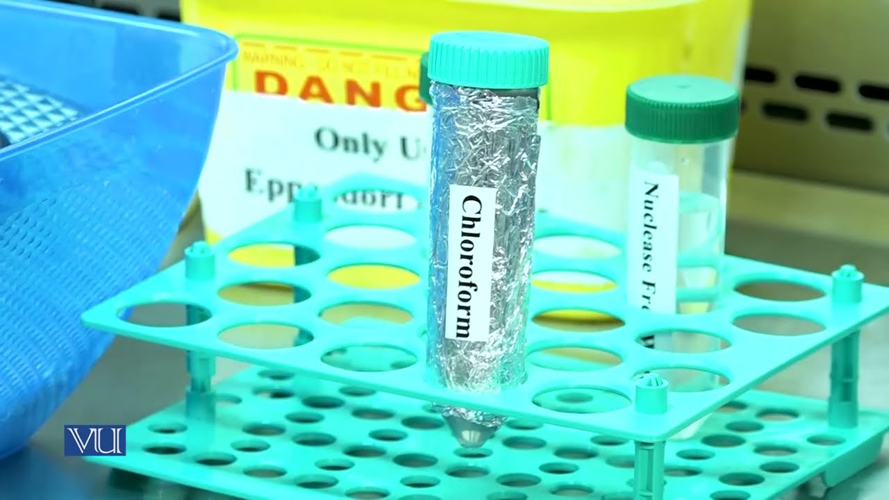 RNA Purification from Blood | Essentials of Genetics (Practical) | BIO505P_Topic005