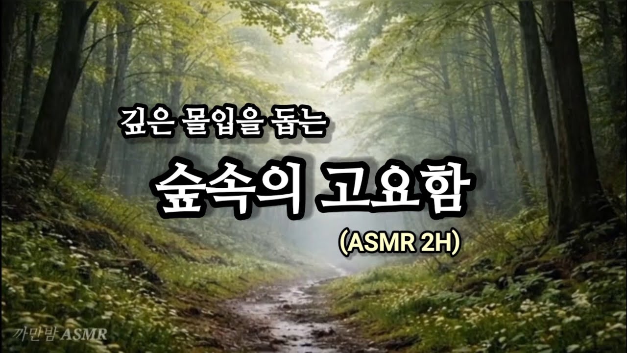 비 오는 숲길 ASMR | 2시간 연속 재생 | 명상, 수면, 깊은 집중 | Relaxing Sound