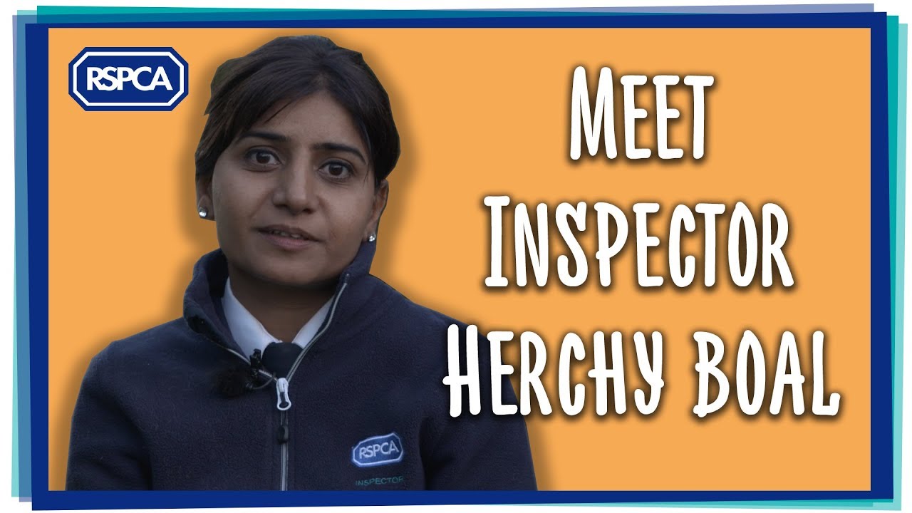 Meet Herchy Boal!