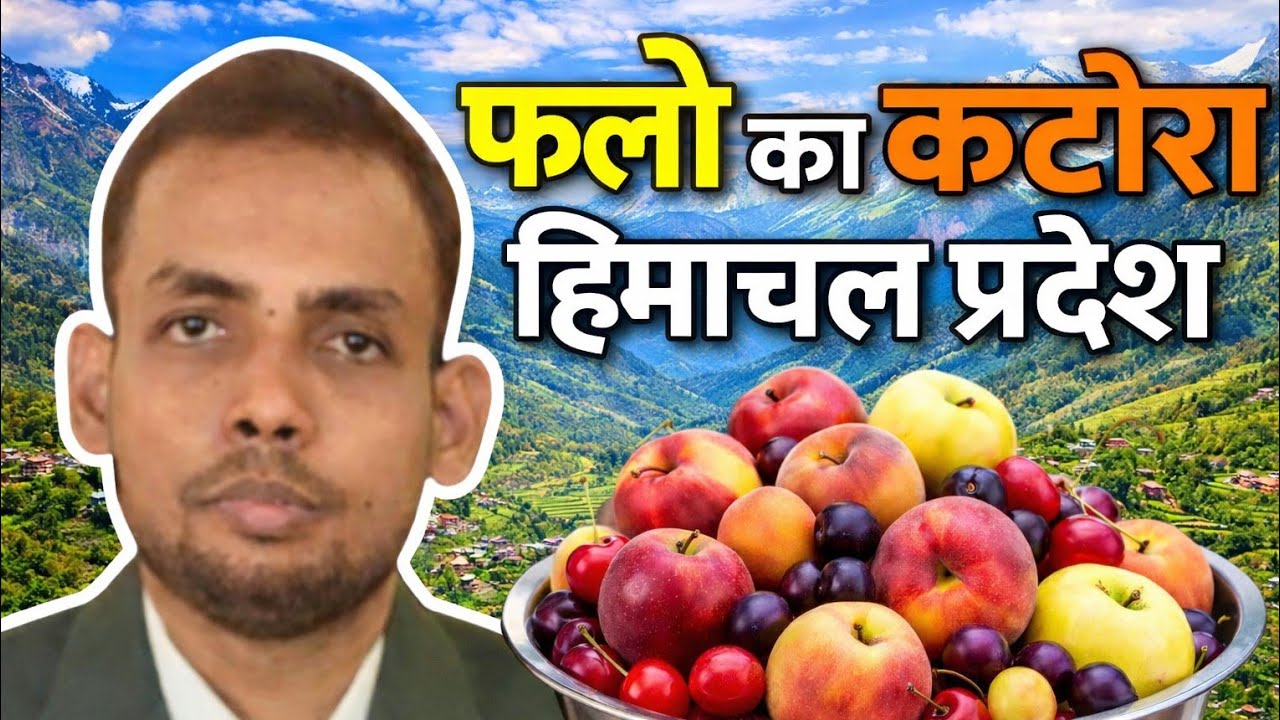 फलो का कटोरा हिमाचल प्रदेश