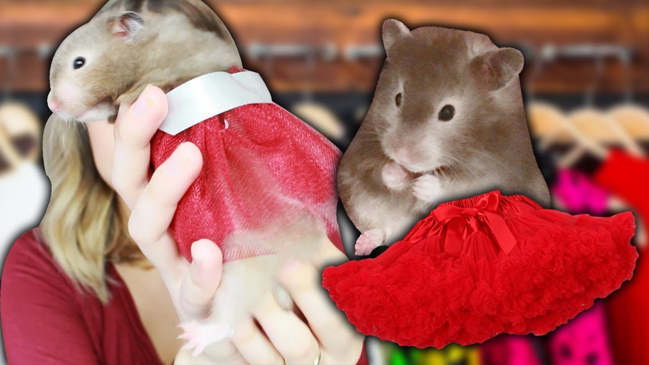 MAKING TINY CLOTHES FOR MY HAMSTER
