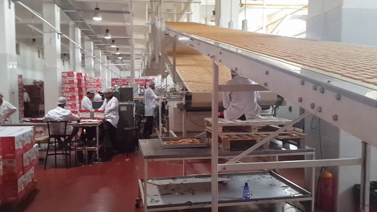 MORCOS - Cooling Conveyors and Biscuits Stacking