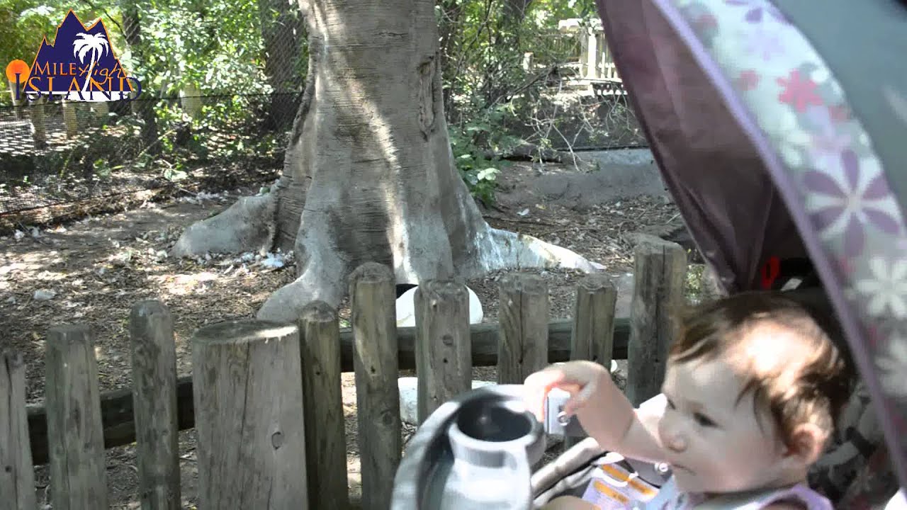 Fun Things: A day at the Denver Zoo