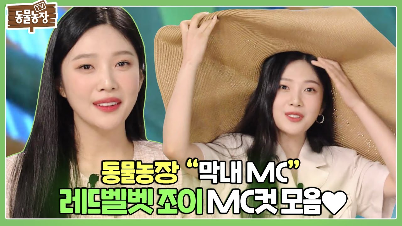 [조이 MC컷] 사랑스럽조이&hearts; 일요 천사 MC 조이의 막내미 뿜뿜! I TV동물농장 (Animal Farm) | SBS Story