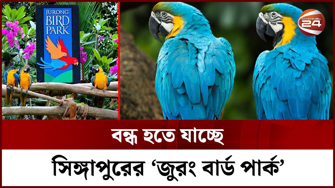 বন্ধ হতে যাচ্ছে এশিয়ায় পাখিদের সবচেয়ে বড় পার্ক | Jurong Park | Singapore News | Channel 24