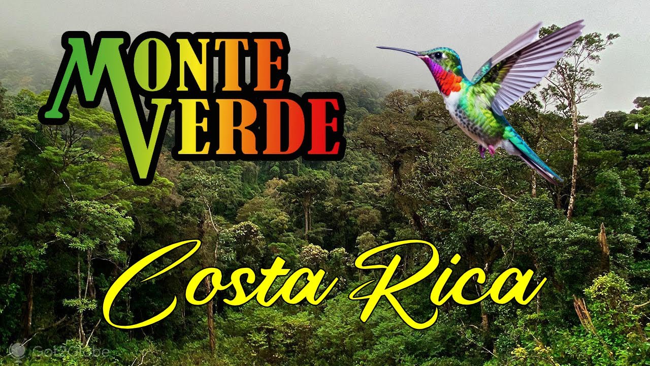 123 🇨🇷 Faut il faire le parc de MONTE VERDE I Costa Rica