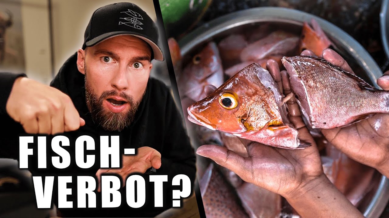 6 Gründe, warum du KEINEN Fisch mehr essen wirst!