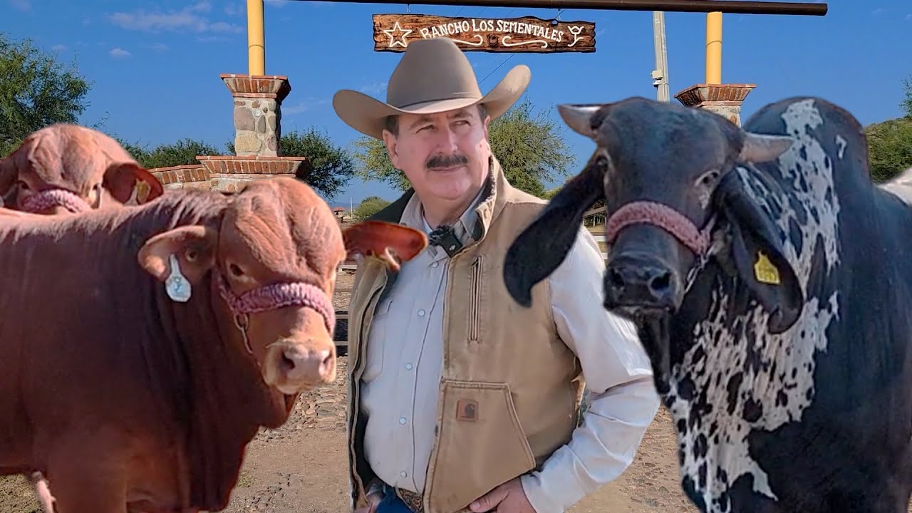 EL MEJOR GANADO DE TEXAS, ahora EN ZACATECAS