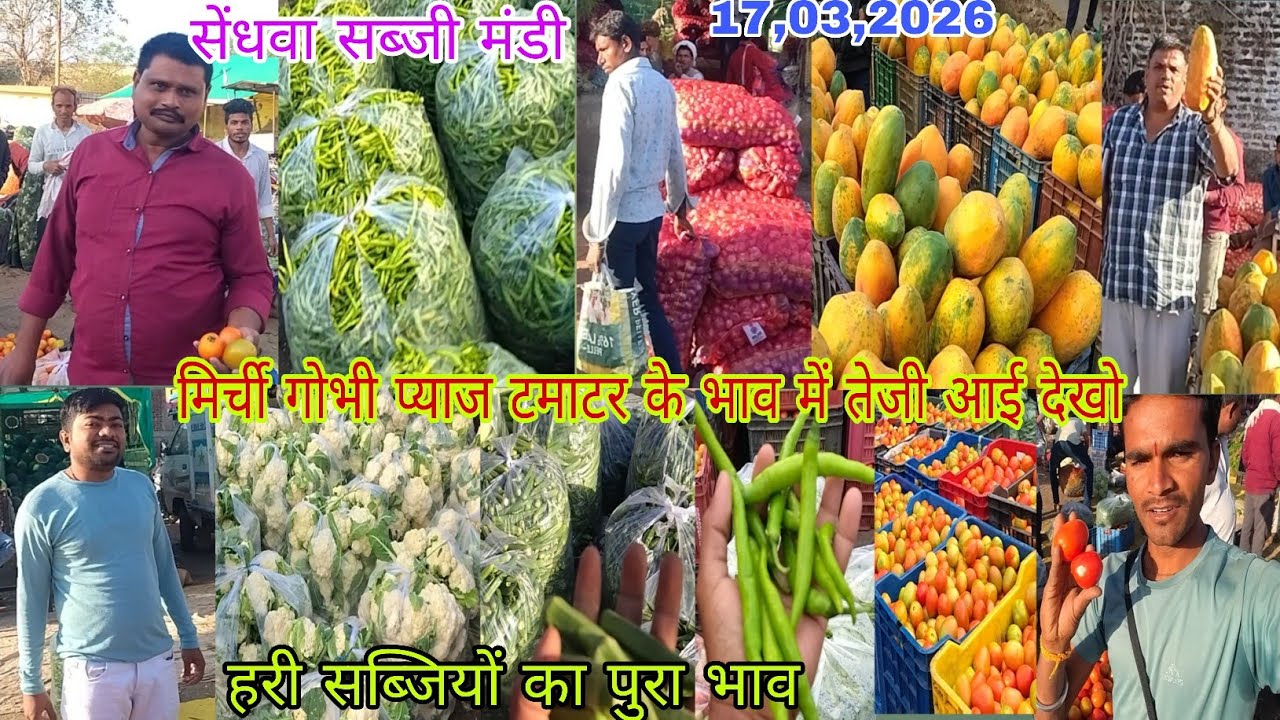सेंधवा सब्जी मंडी में मिर्ची गोभी प्याज टमाटर के भाव मे तेजी आई देखो 17,03,2026