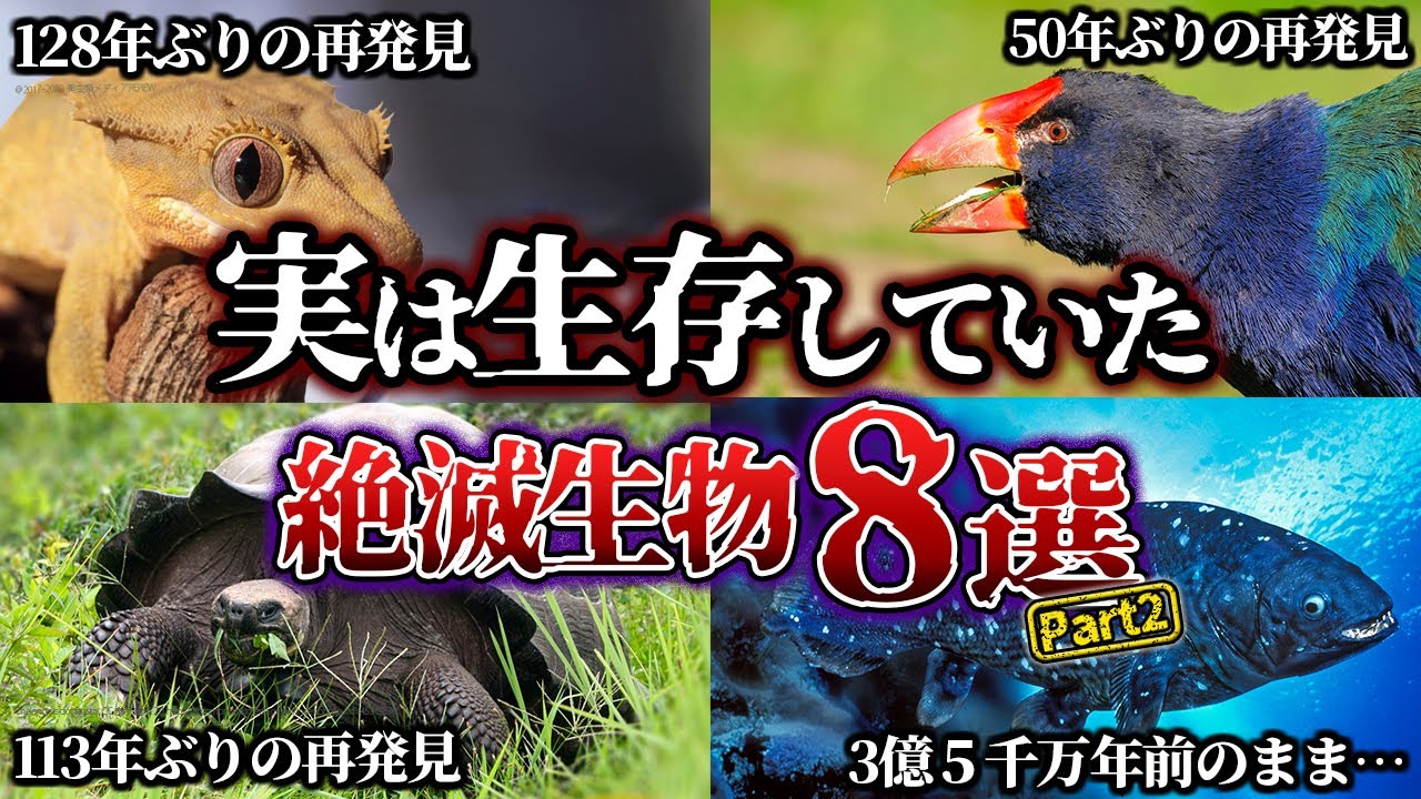 【ゆっくり解説】実は生存していた絶滅生物８選　Part2