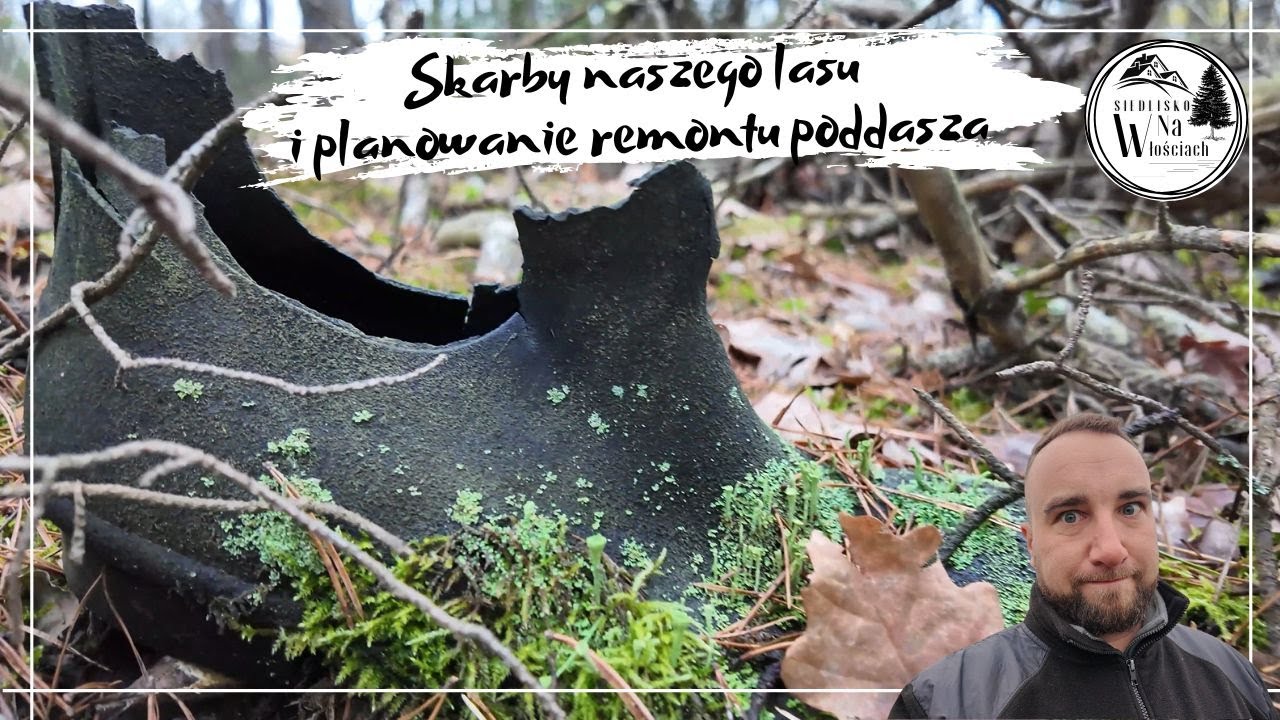 Siedlisko 