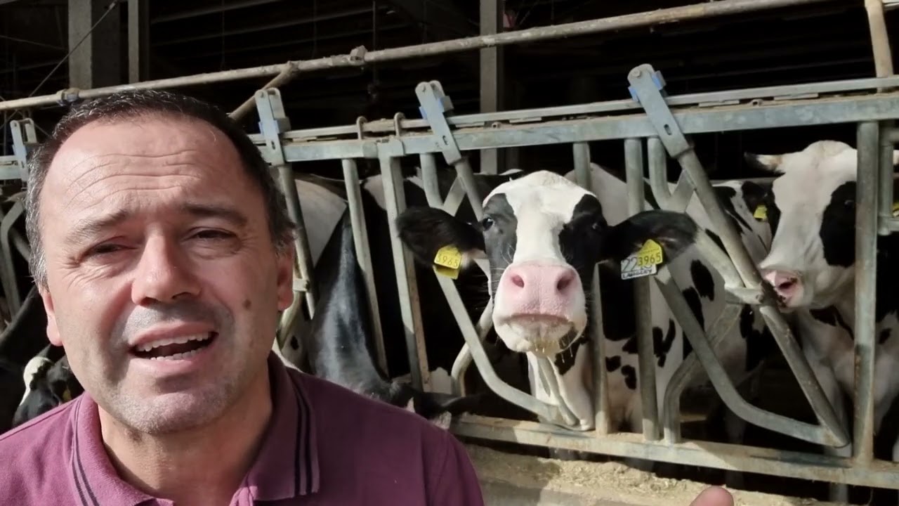 Latte di valore. Come massimizzare i profitti ... webinar gratuito