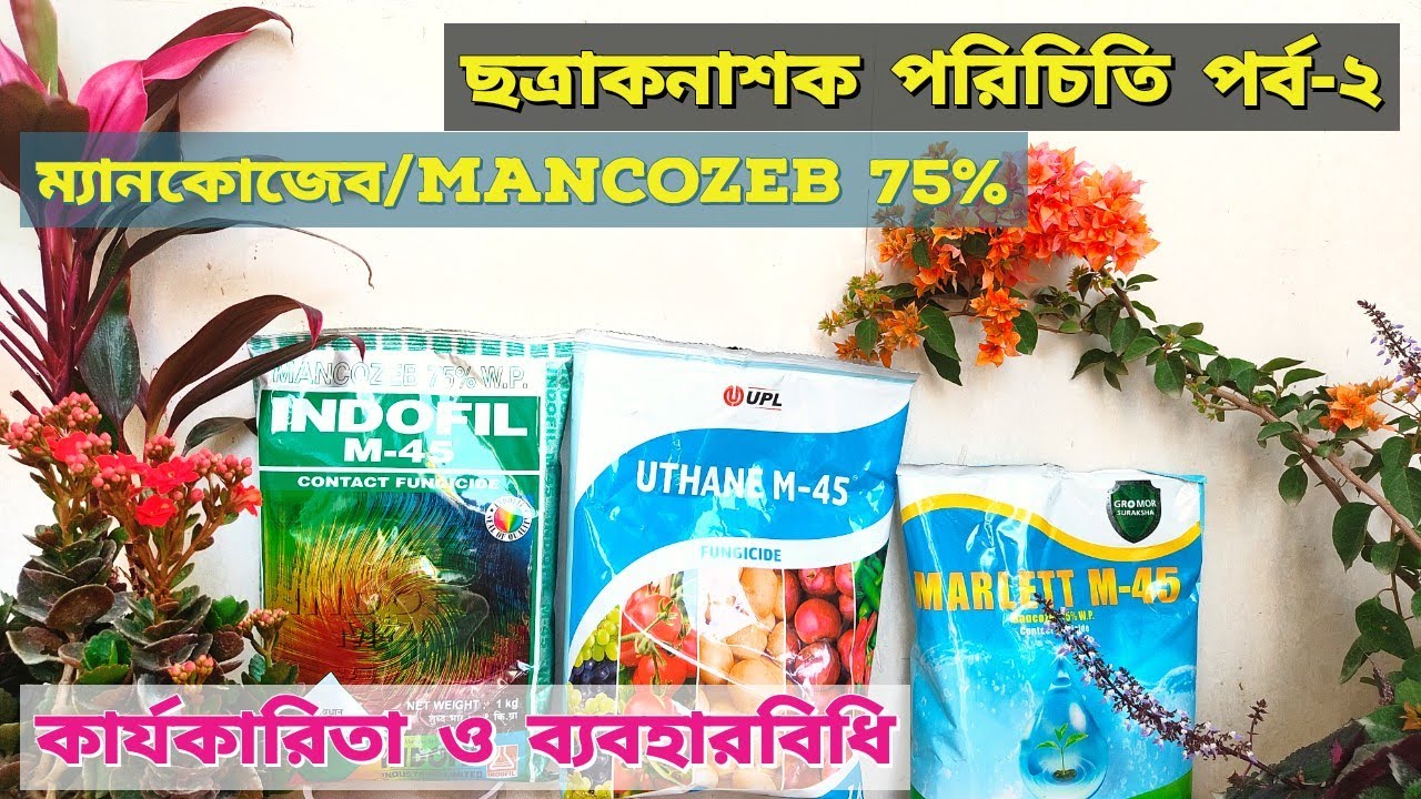 ছত্রাকনাশক পরিচিতি পর্ব-২| ম্যানকোজেব/Mancozeb 75% কার্যকারিতা ও ব্যবহার বিধি। use of fungiside